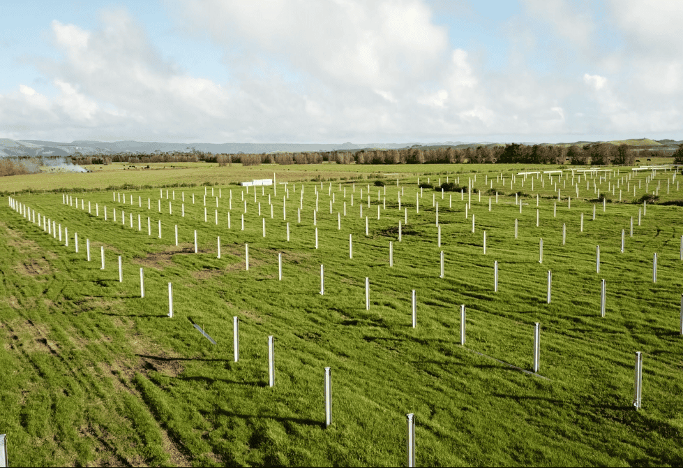 Lodestone Kaitaia Solar Farm Drillco